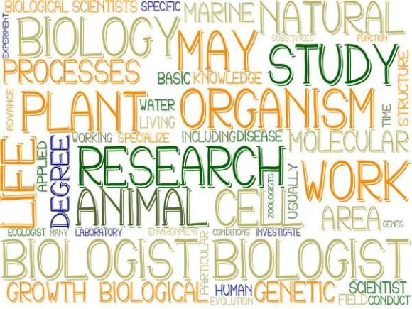 Biologist Wordcloud Banner: A Versatile Tool for Creative and Professional Use