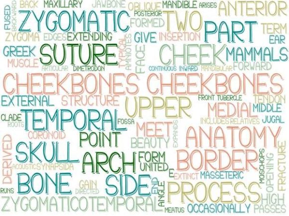 Cheekbones Wordcloud Tumbler: A Creative Solution for Designers and Marketers