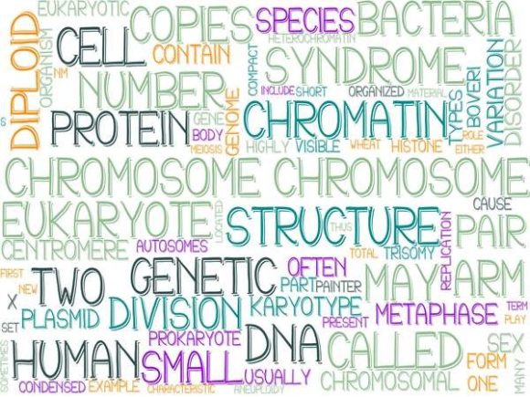 Chromosome Wordcloud Crafting: A Creative Tool for Visual Storytelling