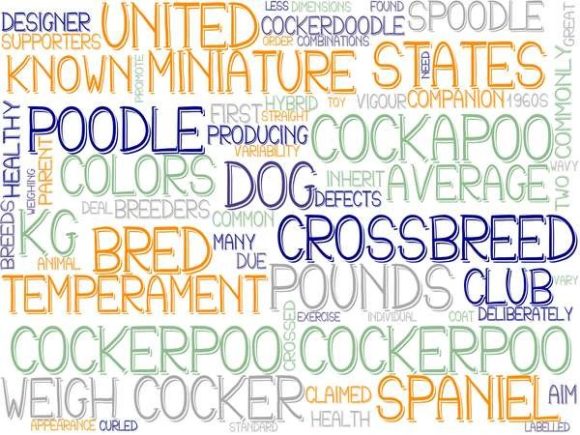 Cockerpoo Wordcloud Skinny Tumbler