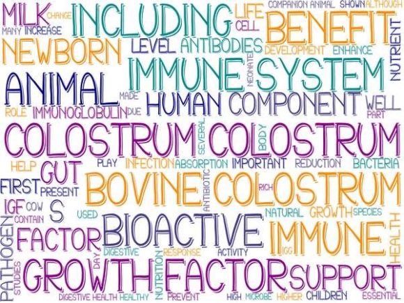 Colostrum Wordcloud Advertising: A Creative Tool for Modern Marketing