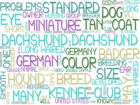 Discover the Power of Dachshund Wordcloud Sublimation