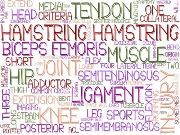 Hamstring Wordcloud Print: A Versatile Tool for Creative and Practical Use