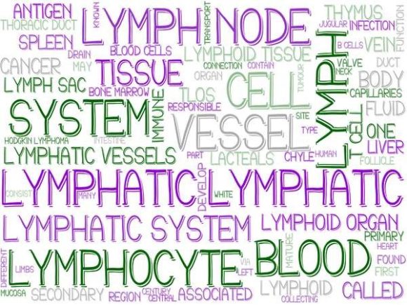 Lymphatic Wordcloud Banner