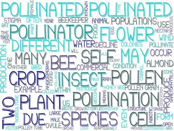 Pollinated Wordcloud Sublimation Tumbler