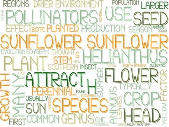 Sunflower Wordcloud Advertising: A Creative Tool for Modern Marketing