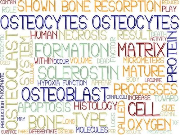 Unlock Creativity with Osteocytes Wordcloud Banner